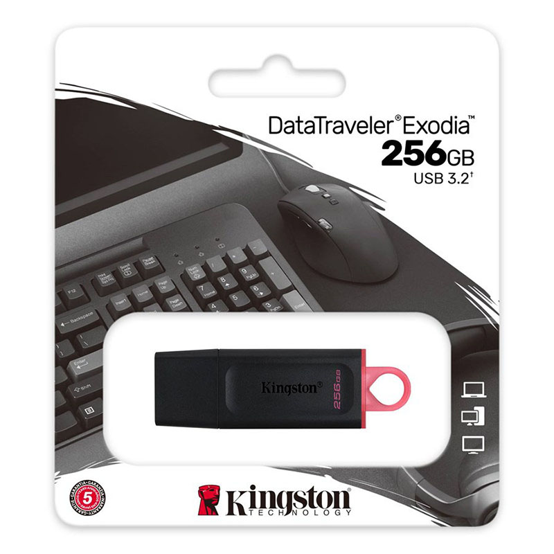 Kingston DataTraveler Exodia - Pendrive USB 3.2 256 GB