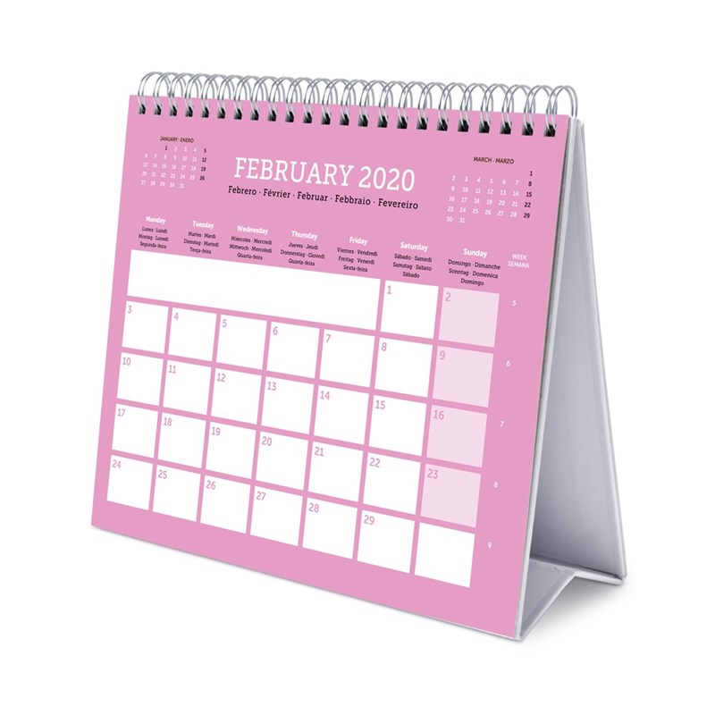 Line Friends - Kalendarz do planowania codziennego (20 x 17 cm)