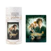 Harry Potter - Puzzle 500 elementów w ozdobnym pudełku (Harry Potter i Komnata Tajemnic)