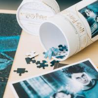 Harry Potter - Puzzle 500 elementów w ozdobnym pudełku (Harry Potter i Więzień Azkabanu)